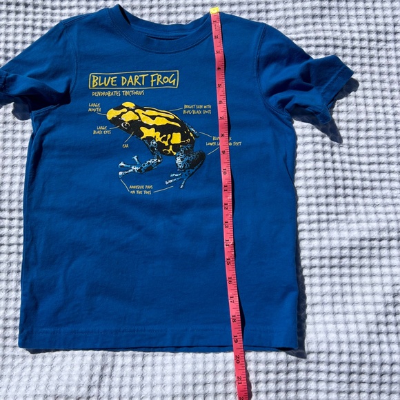 Blue Dart Frog Short Sleeve Tee Shirt - Picture 8 of 11